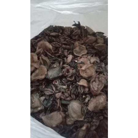 Jual Kerupuk Kulit Cumi Mentah Asli Rembang Enak Murah Shopee Indonesia