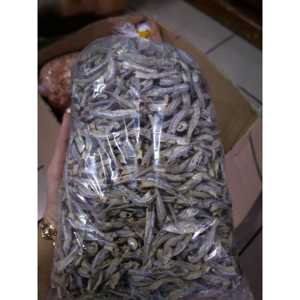 

ikan teri Singkawang