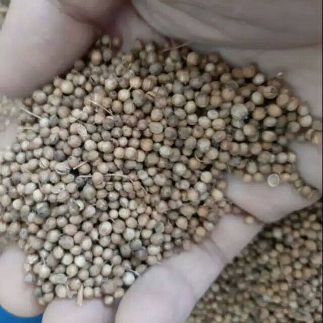 

Ketumbar HITAM 500gr