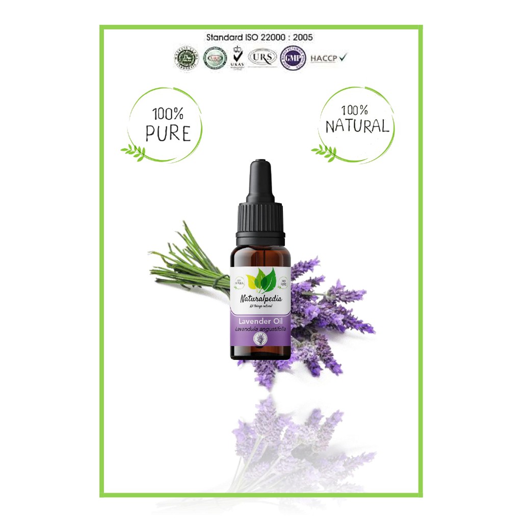 Pure Lavender Essential Oil / Minyak Esensial Atsiri Lavender Murni 10ml