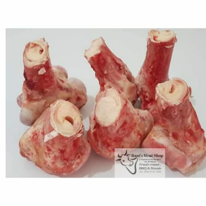 

Tulang sumsum kaki/ sekengkel