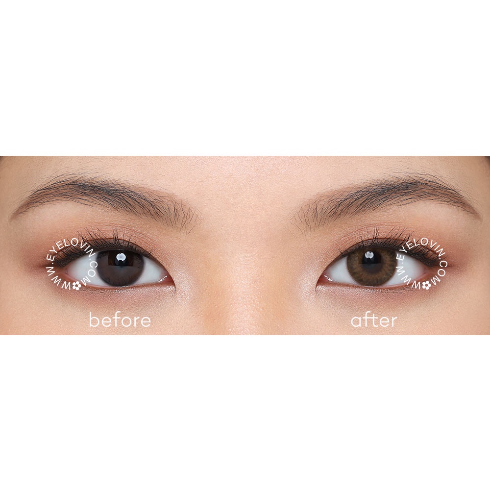 Eyelovin Softlens OHAN - Guri Brown