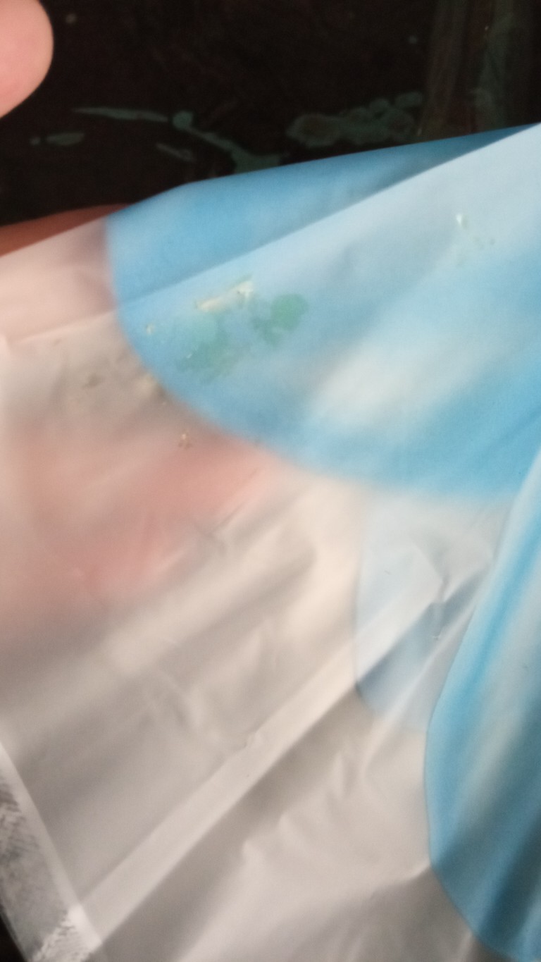 Tabasa Payung Tongkat Sunflower