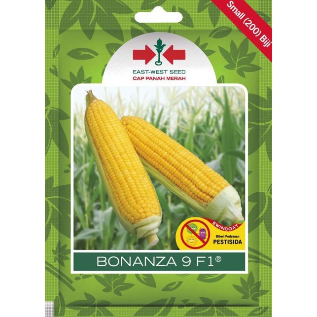 ISI 200 BIJI - BENIH BIBIT JAGUNG MANIS BONANZA F1