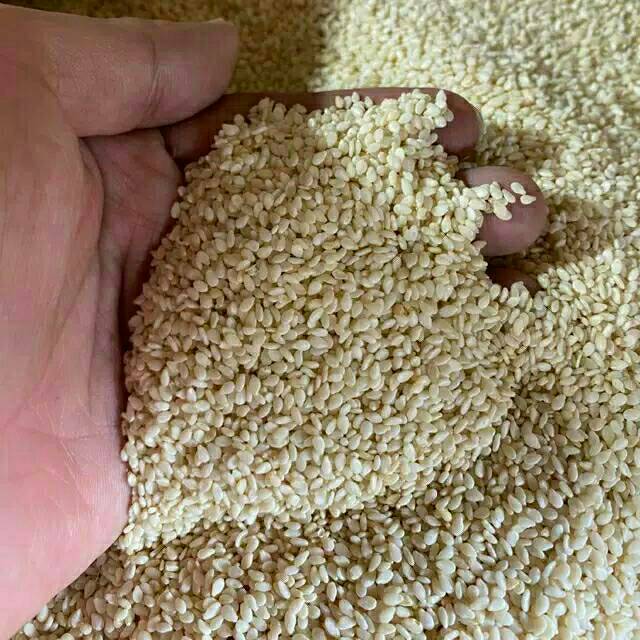 

BIJI WIJEN PUTIH 100gram White