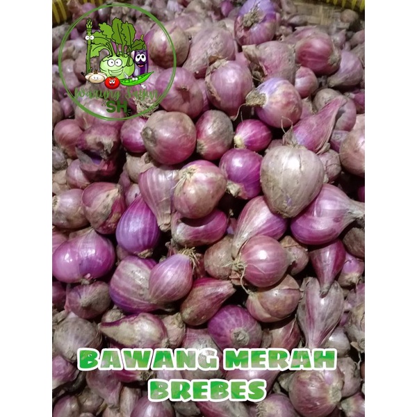 

Bawang Merah Brebes super 1kg | Fresh Vagetable