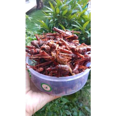 

BELALANG GORENG BESAR 165 GRAM