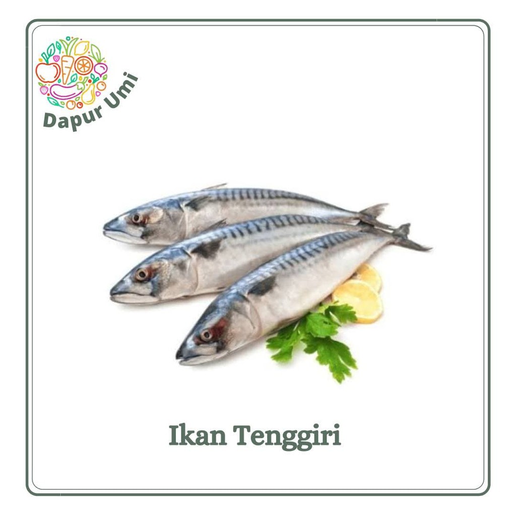 

IKAN TENGGIRI - IKAN SEGAR PURWAKARTA