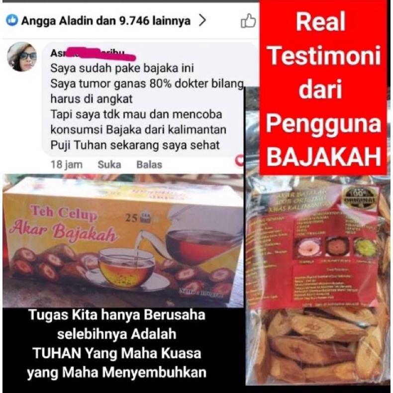 [SIAP MINUM] Teh Kayu Bajakah Kalimantan Kualitas TERBAIK 100% Herbal Kayu Akar Bajakah Asli