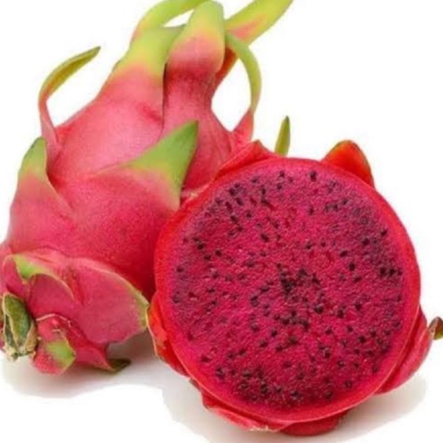 Organic Dragon Fruit Buah Naga Organik Per Kg Shopee Indonesia