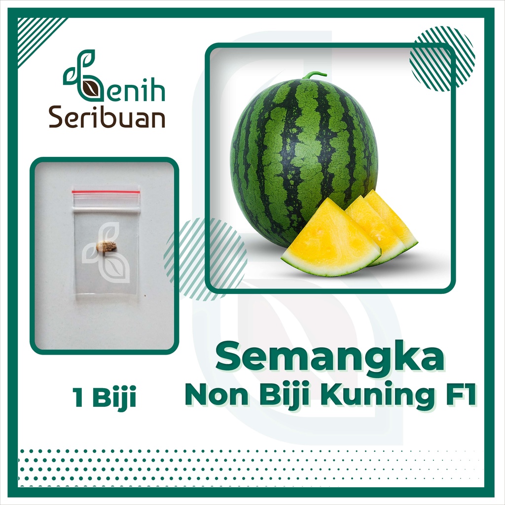 BS-BYL Benih Buah Bibit Tanaman Buah F1 Hibrida Unggul Anggur Strawberry Semangka Melon Labu Pepaya Jambu Blackberry Ciplukan Raspberry dll-SMANGK NONBIJ KUNING