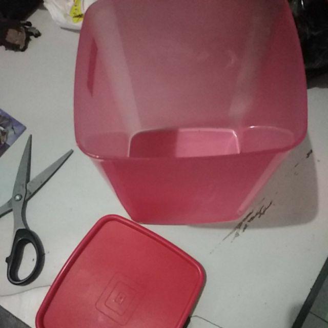 Toples Atau Sealware Havana Ukuran L Warna Warni Merek Gbu Garansi