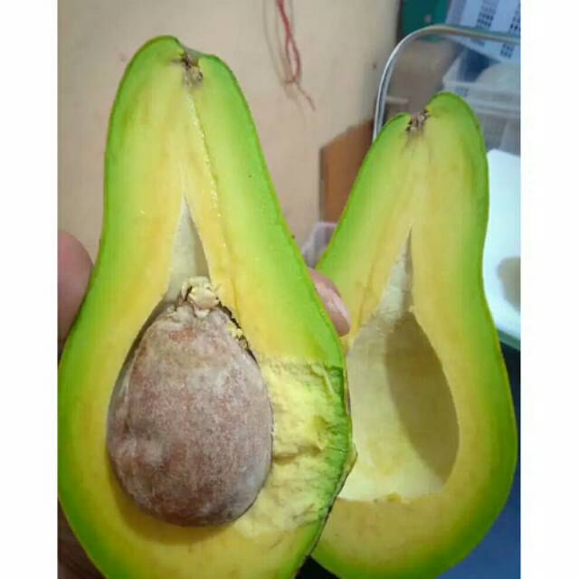 

alpukat mentega
