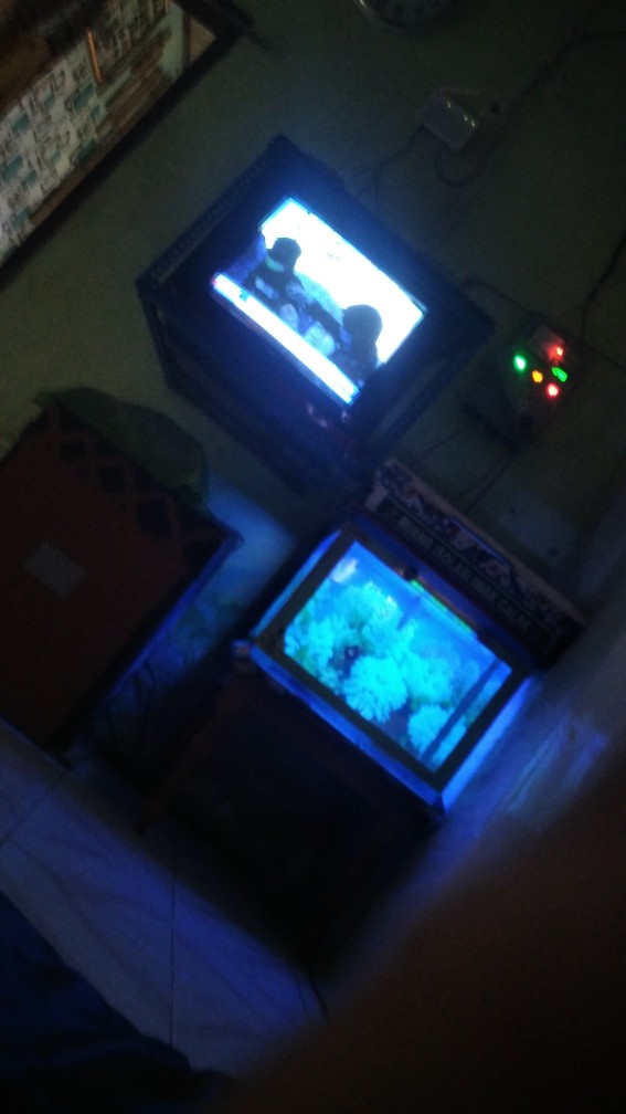 Tee Pvc Jaya Ts 3/4 Inch - Fitting Pipa T