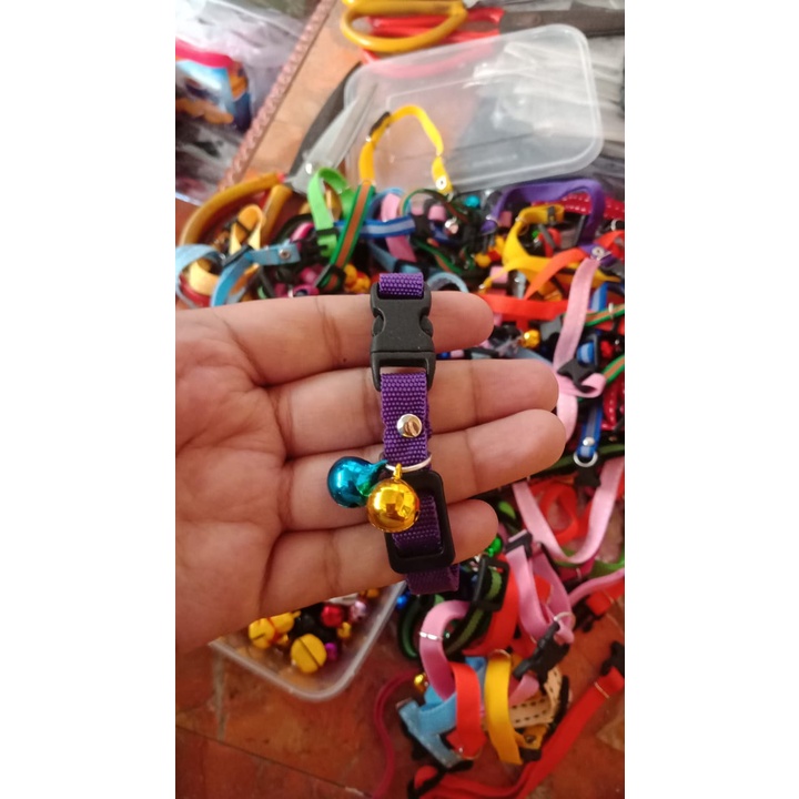 Kalung kucing polos 2 lonceng 10ml bahan tebal