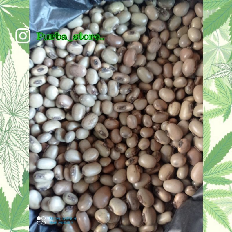 

MB mucuna bracteata silver/susu barang langka kemasan 1kg