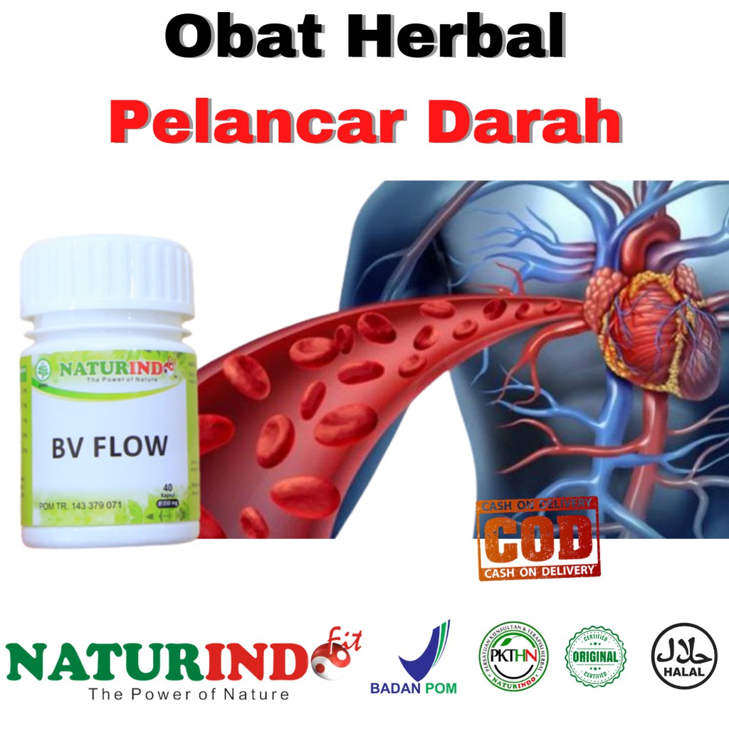 Obat Herbal Pelancar Penyumbatan Pembuluh Darah Melancarkan Peredaran