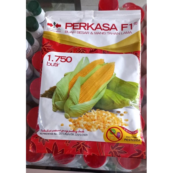 Benih Jagung Manis Perkasa F1, panah merah
