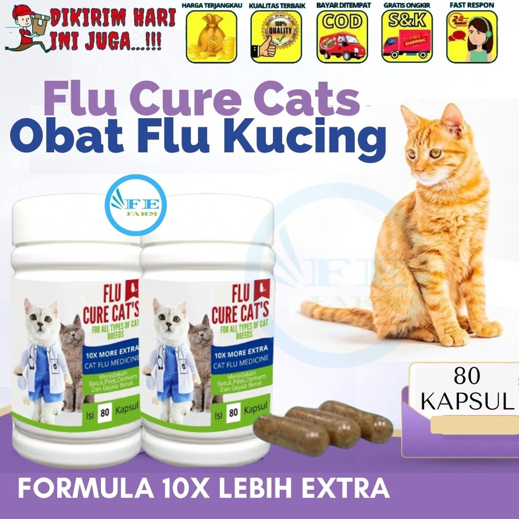 Obat Flu Kucing Cat Batuk Obat Batuk Kucing FEFARM