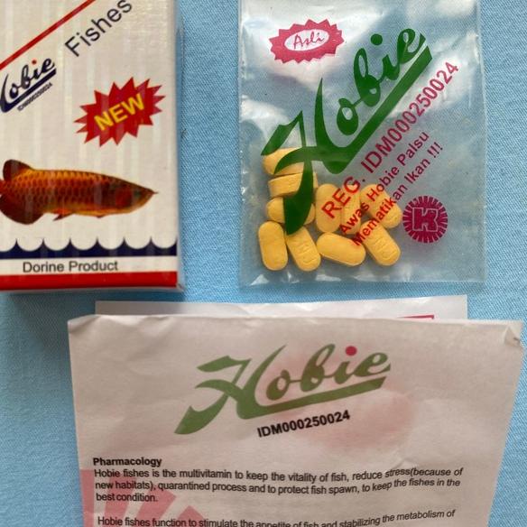 ylxa986 Pil hobies Original (Arwana dll) Barang Import