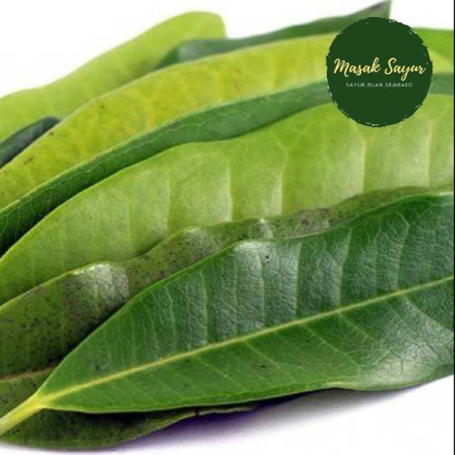 

Daun salam seikat bandung