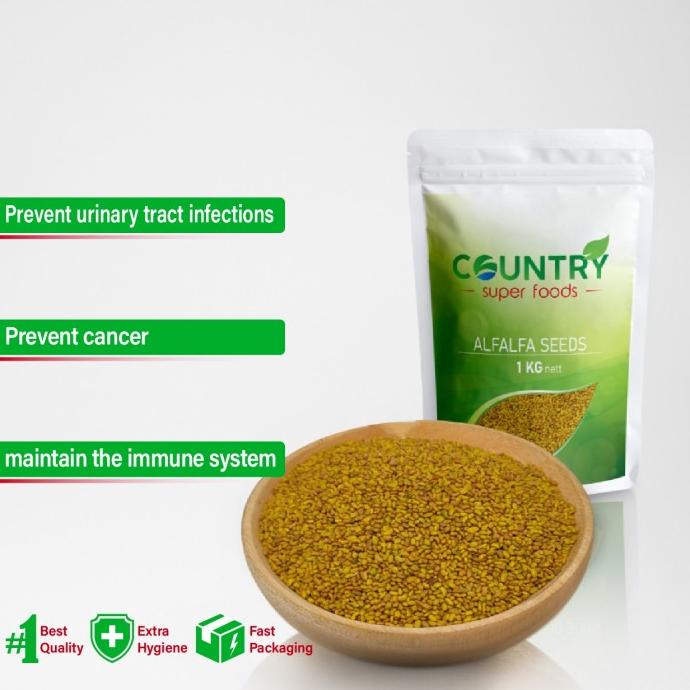 

---Terbaru--- Alfalfa Seeds - 1 Kg - Biji Alfalfa