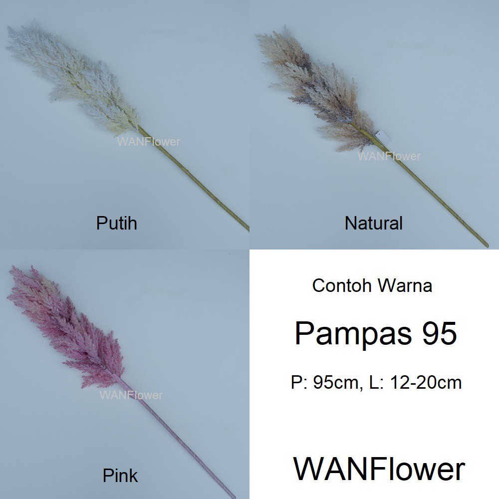 WANFLOWER Bunga Pampas 95 * PINK (perTangkai)