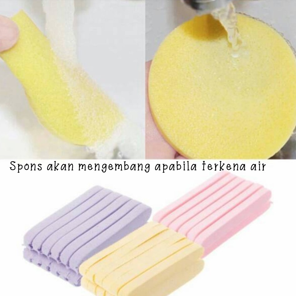 Sponge Stick / Kentang (Per pack isi 12)