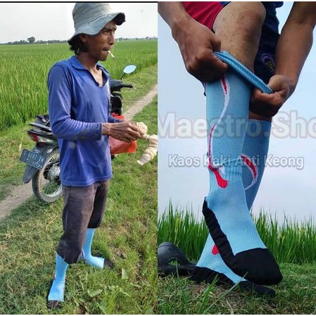 Sepatu Sawah Anti keong versi kaos kaki sawah anti keong