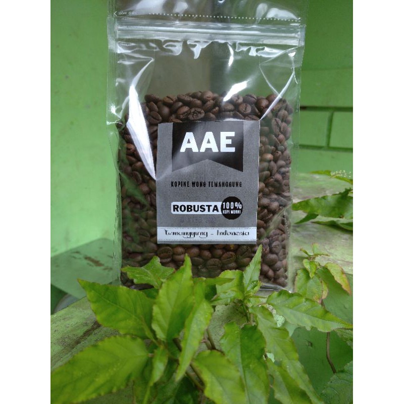 Biji sangrai Kopi Robusta Temanggung Medium Dark Roast 1kg