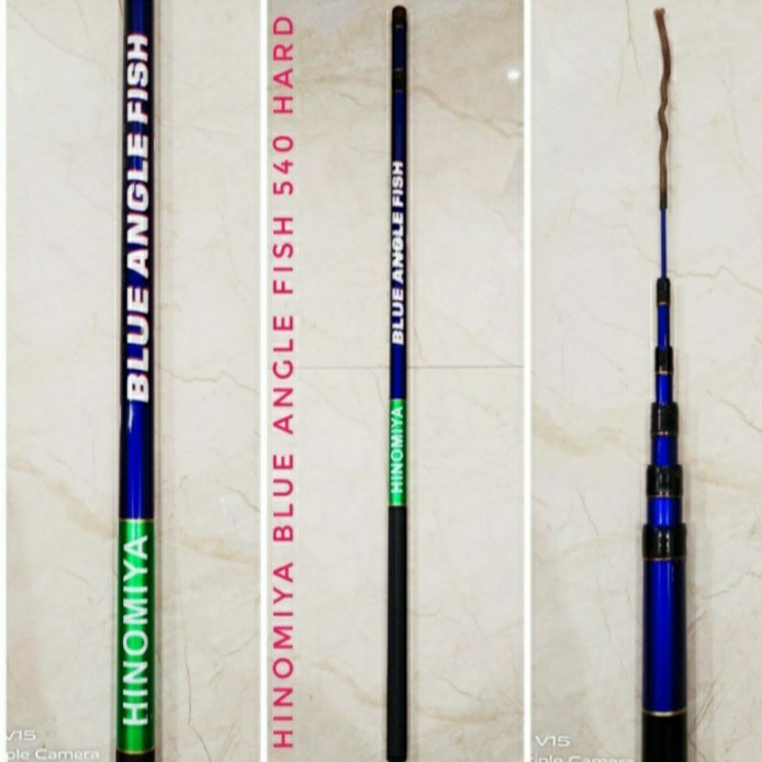 JORAN TEGEK HINOMIYA BLUE ANGEL FISH KAKU