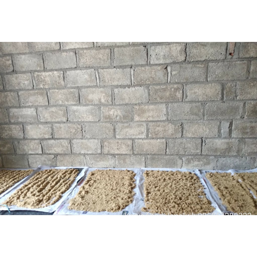 Telur jangkrik kalung murah promo bergaransi 500gr