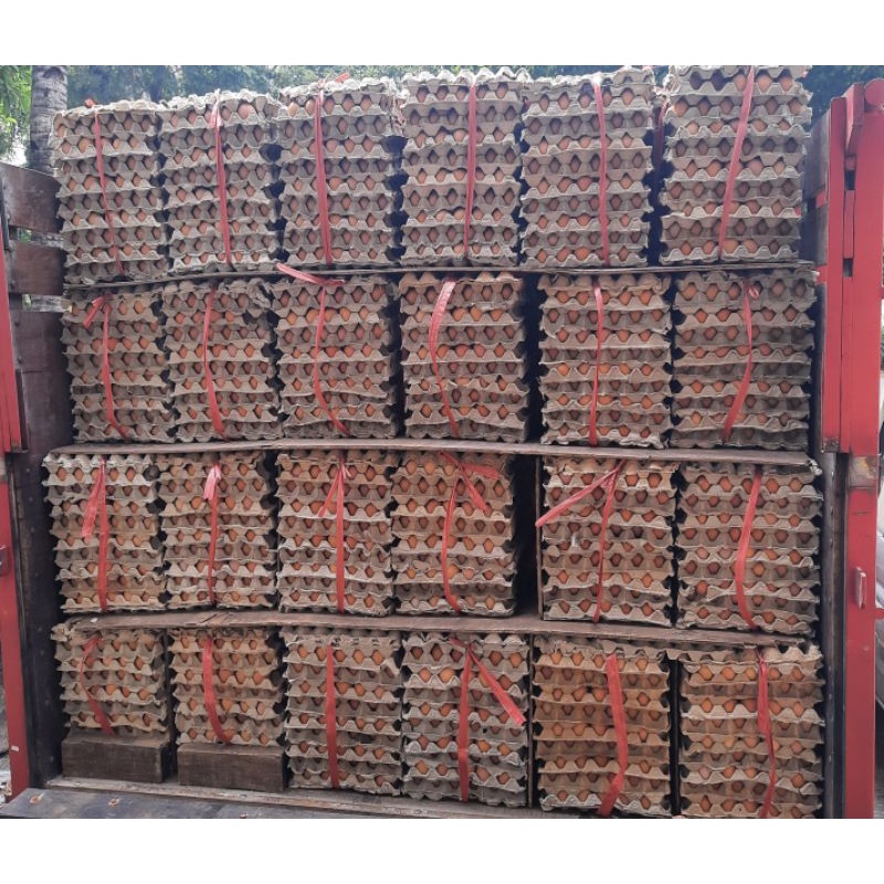 

Telur ayam negeri