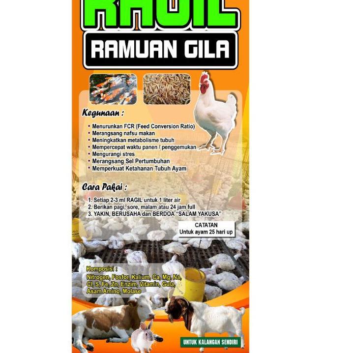 

{K-OQR} {✓} RAGIL (ramuan gila) 500-1000 ekor {berkualitas}