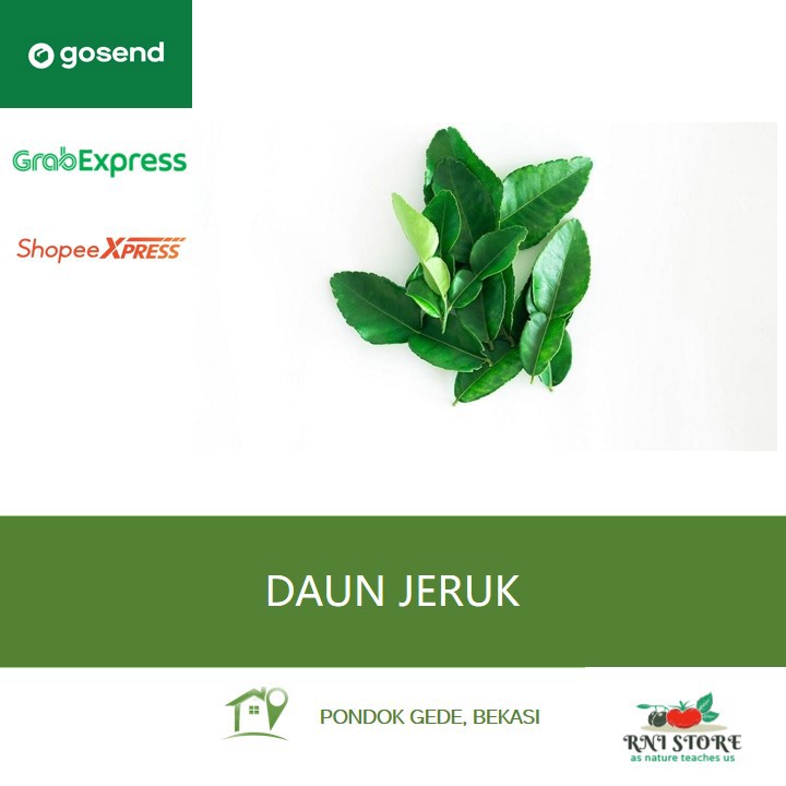 

Rempah - Daun Jeruk