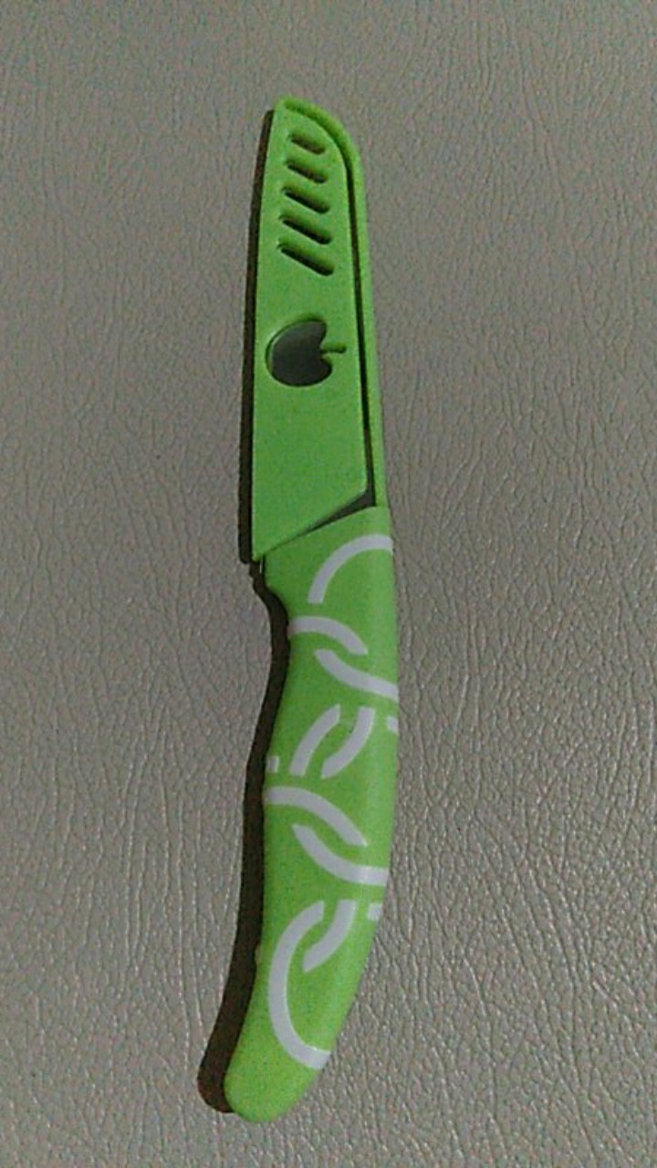 [38gr] Ppl Pisau Apel / Pisau Dapur Stainless / Pisau Buah / Pisau Apple