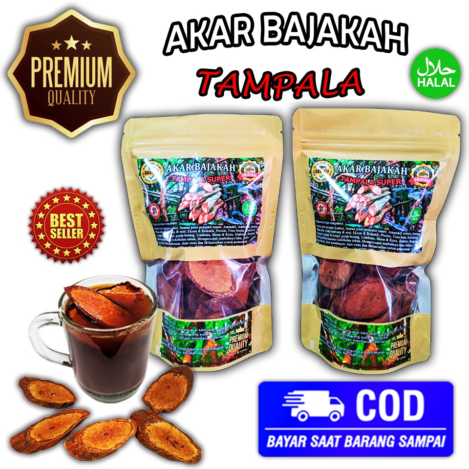 

Akar Bajakah Super Tampala Merah Red Borneo Kualitas Premium Asli Kalimantan