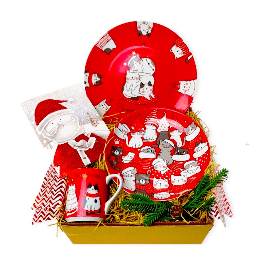 

CHRISTMAS Holiday Party Gift Present Hamper Dinnerware Hadiah Kado Natal