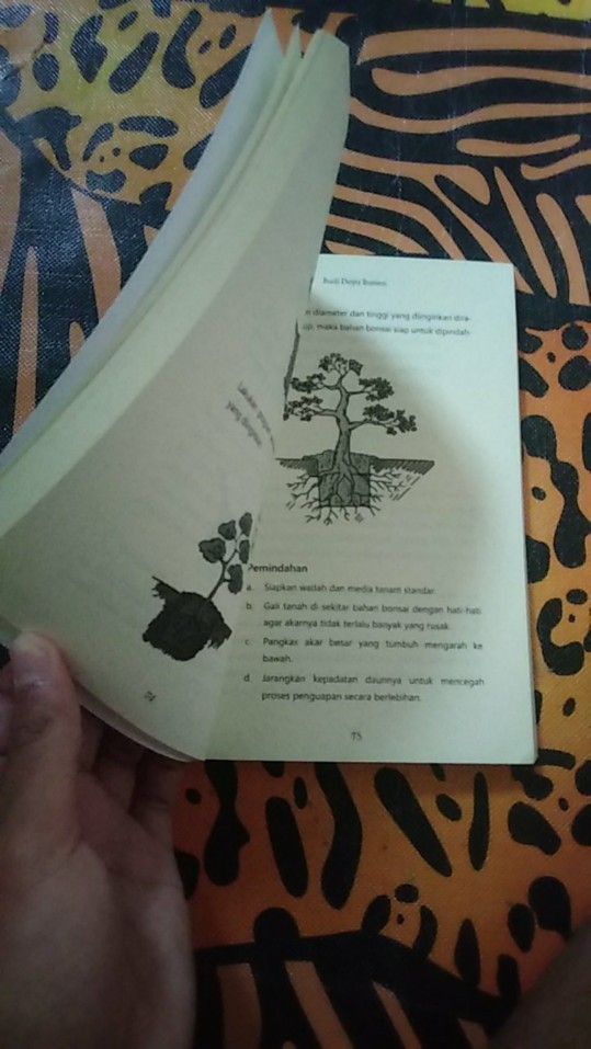 Seni Bonsai Indonesia