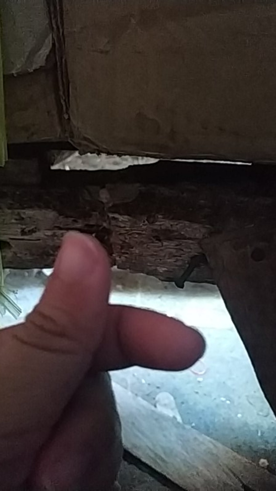 [tonam 7in1] Toples Kue Jumbo 6 + 1 Topless Nampan Lebaran Original Produk