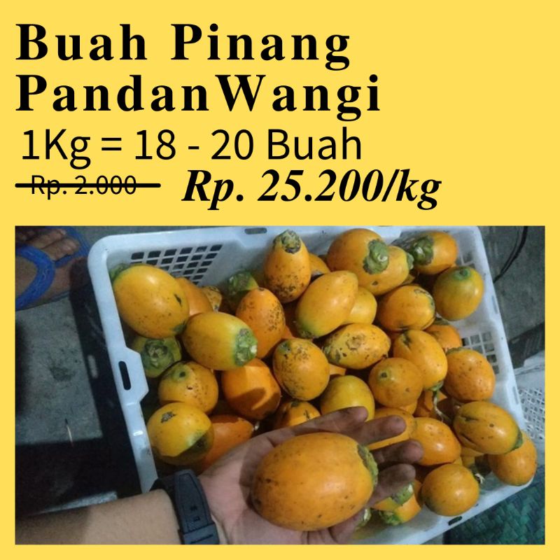 Buah Pinang Matang 1Kg Pandan Wangi Hibrida Kualitas Unggul