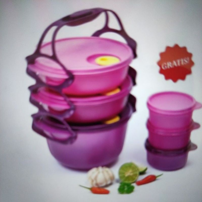 rantang carry all bowl new tuperware free 3 pcs small serve 200 ml