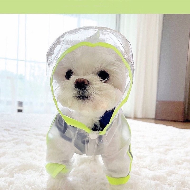 Korea pet rain coat