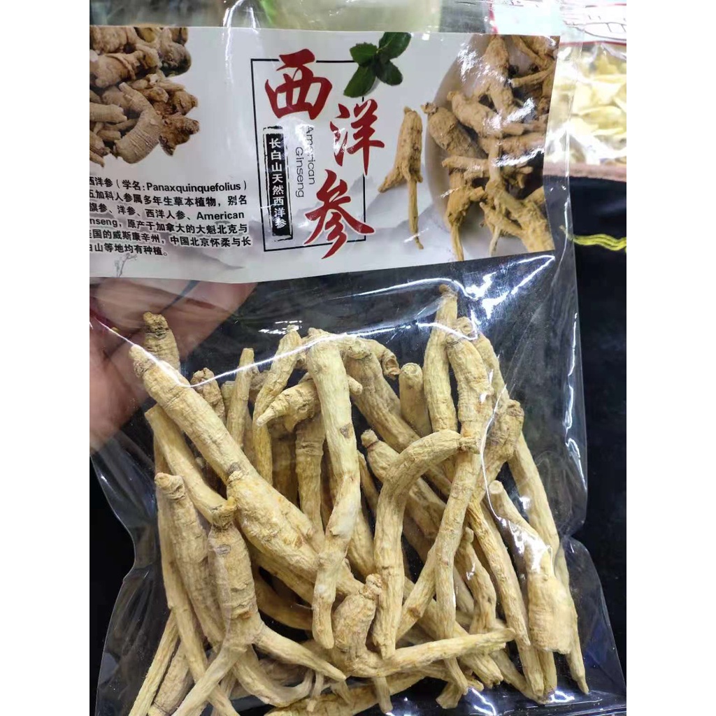 

American Ginseng (Yong Sem /西洋参）asli Gunung Chang Bai (长白山）bentuk batang 50 gram