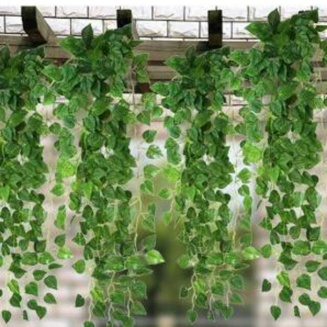 Daun Rambat Palsu Sulur Artifisial Rambat Bunga Dekorasi Daun Rambat Palsu Sulur Artifisial Rambat Bunga Dekorasi