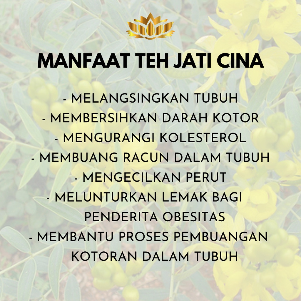 Teh jati cina 40gr