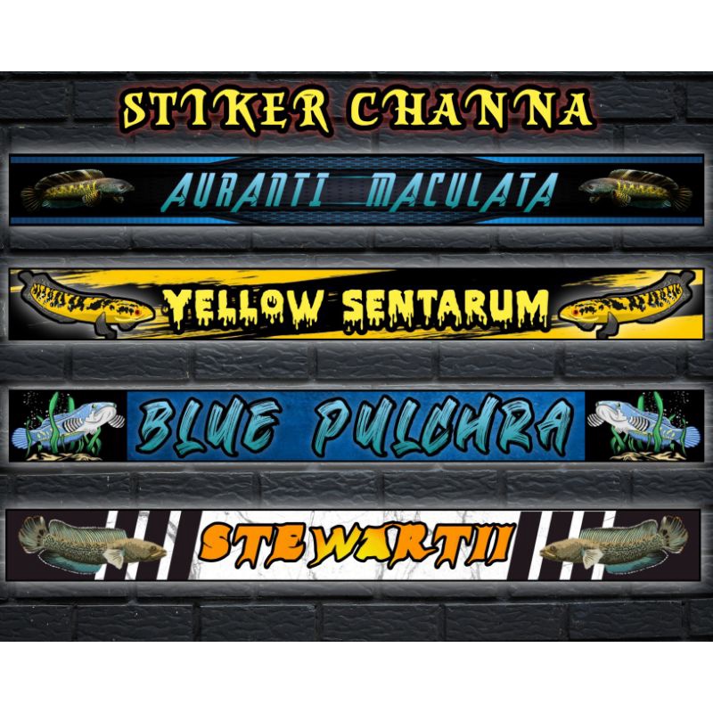 STIKER LIST AKUARIUM/AQUARIUM CHANNA PREDATOR