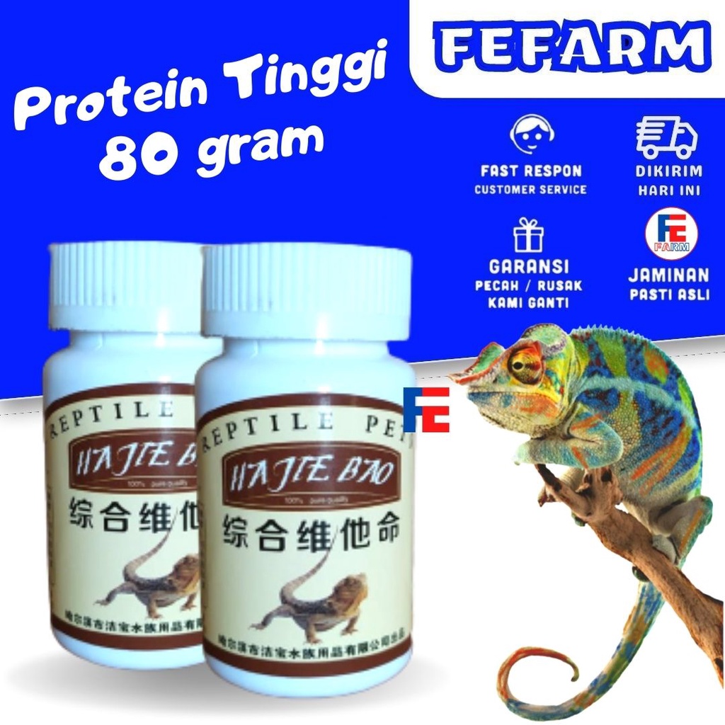 Reptile Reptil Calcium Kalsium 80 Gram Hewan Gecko Kadal Ular Torto Kura Iguana Tokek FEFARM