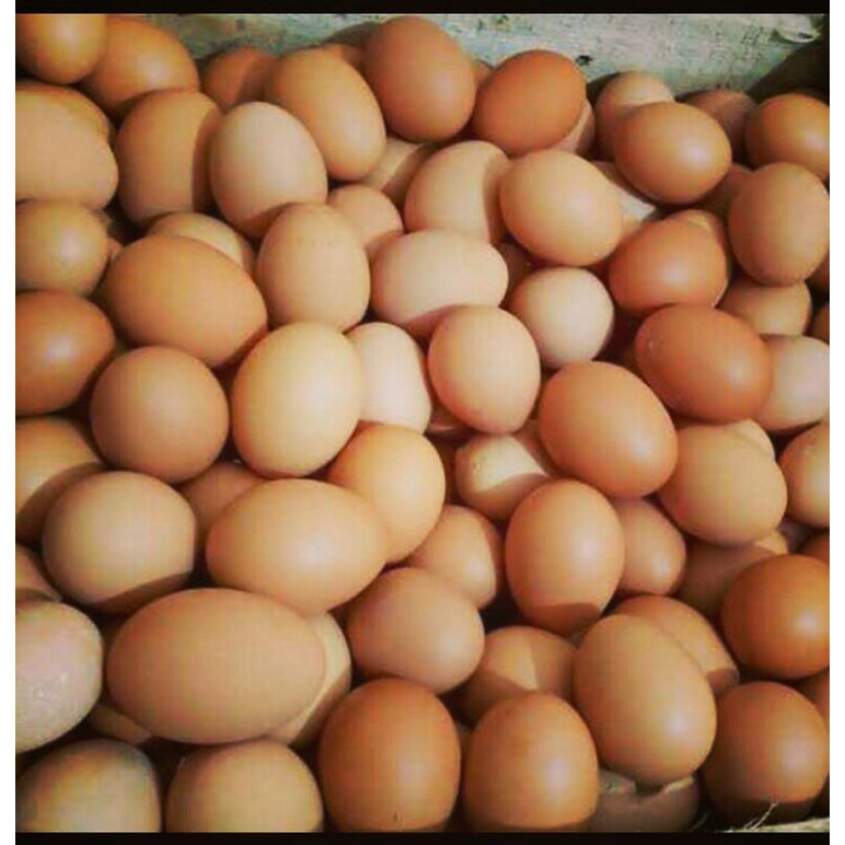 

Telur ayam 500g