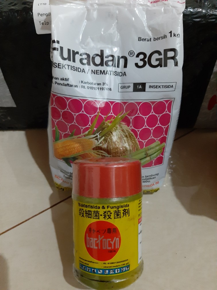 Insektisida Furadan 3 Gr 1 Kg